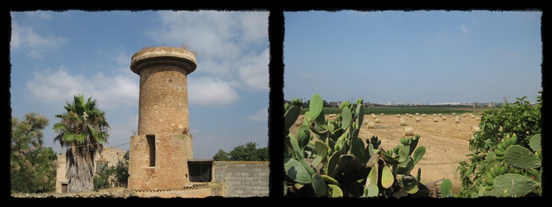 F016.jpg